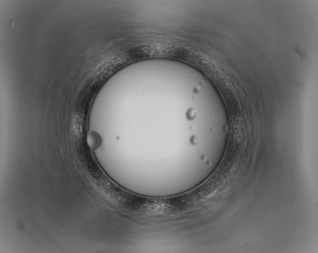 X0000112050695200908181137