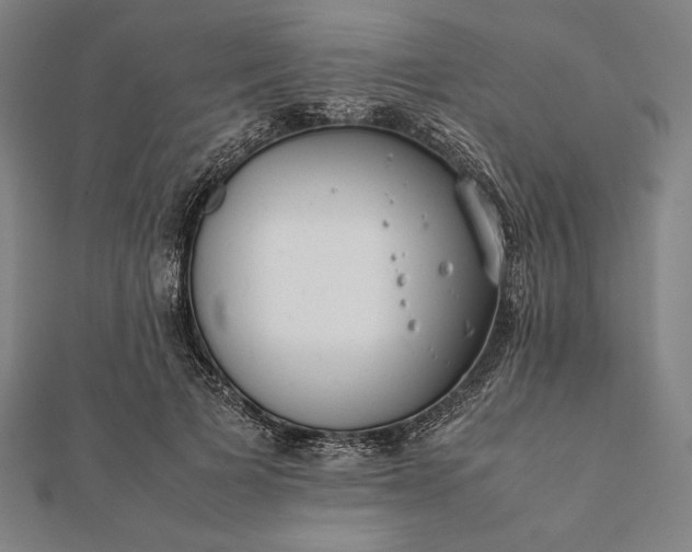 X0000112050697200908181137