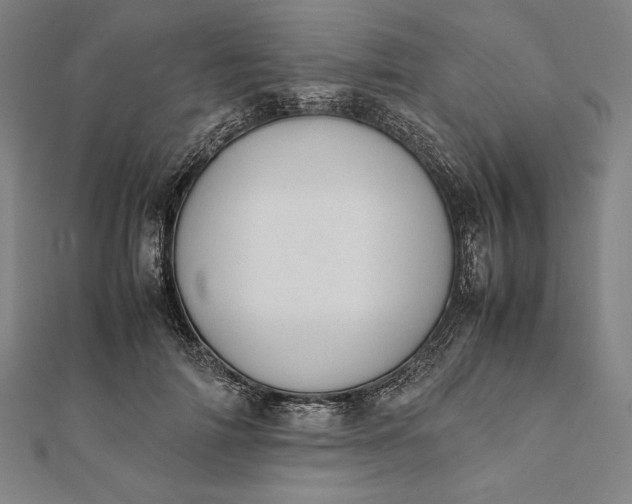 X0000112050698200908181137