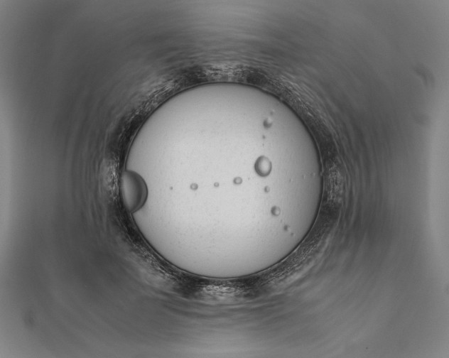 X0000112050699200908181137