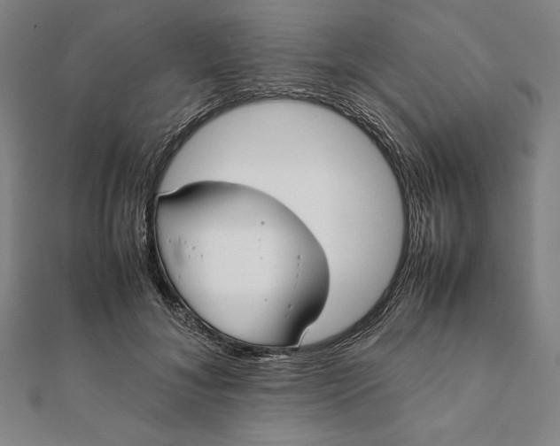 X0000112050700200908181137