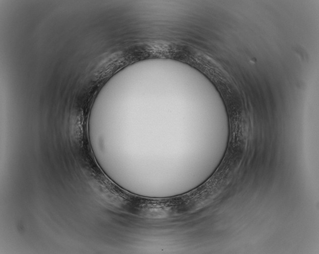 X0000112050702200908181137