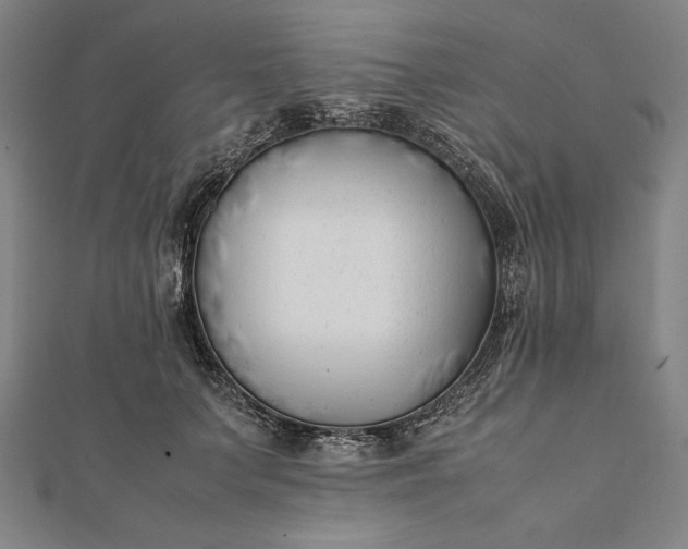 X0000112050703200908181137