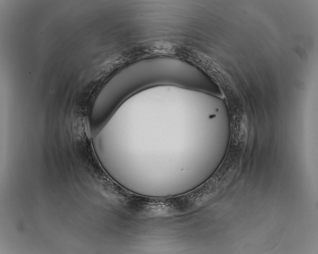 X0000112050704200908181137