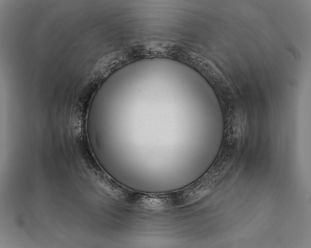 X0000112050706200908181137