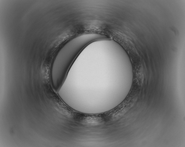 X0000112050708200908181137