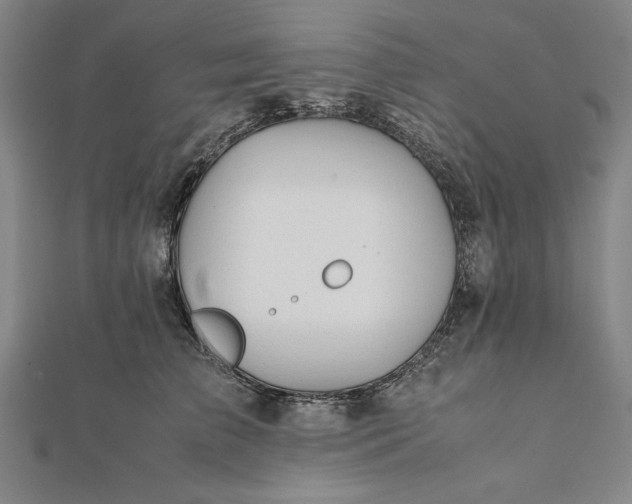 X0000112050709200908181137