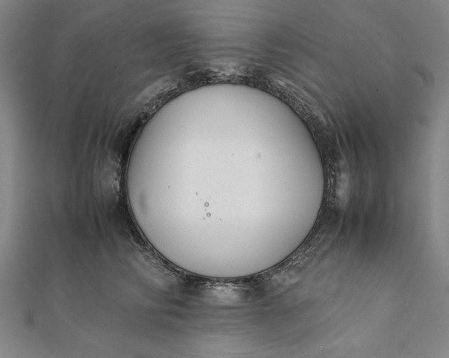 X0000112050710200908181137