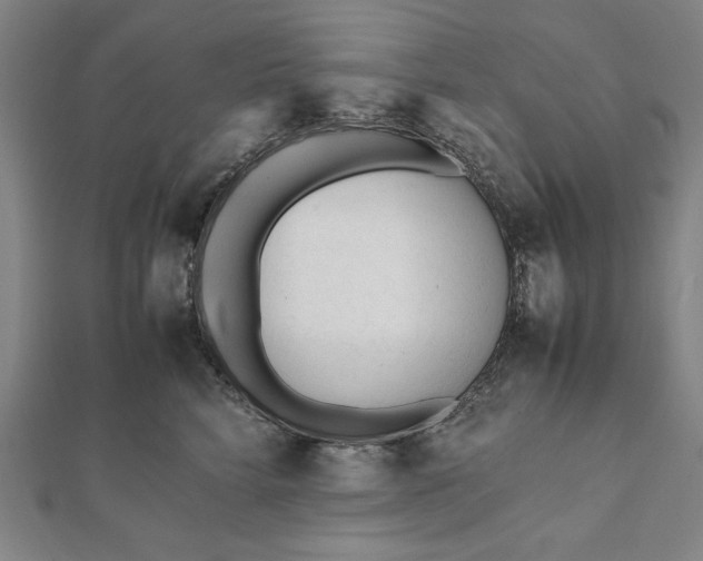 X0000112050712200908181136