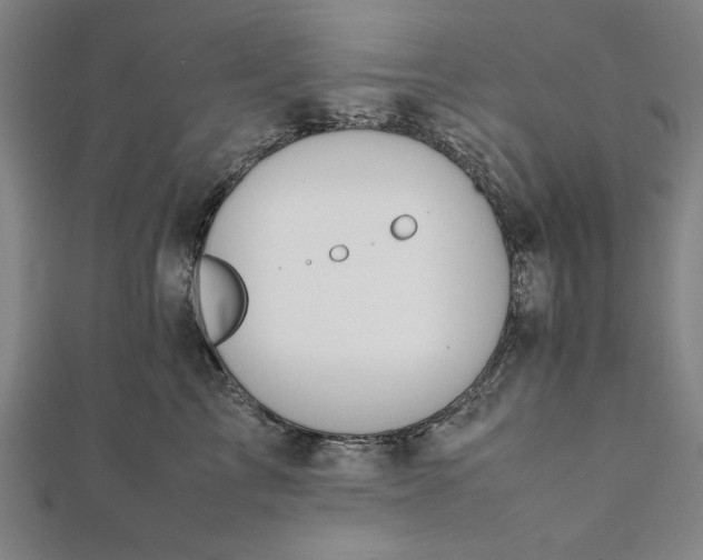 X0000112050713200908181136