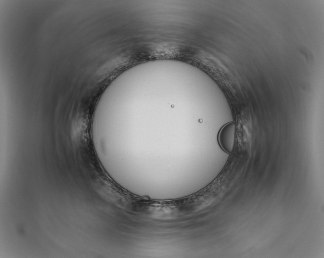 X0000112050714200908181136