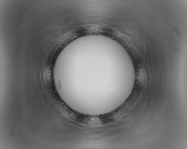 X0000112050715200908181136