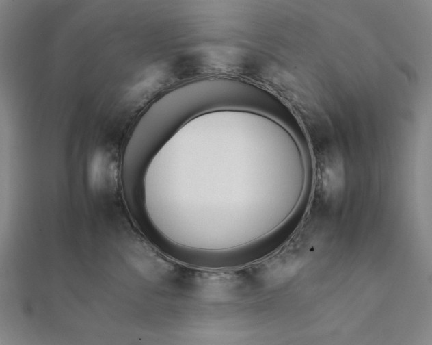 X0000112050716200908181136