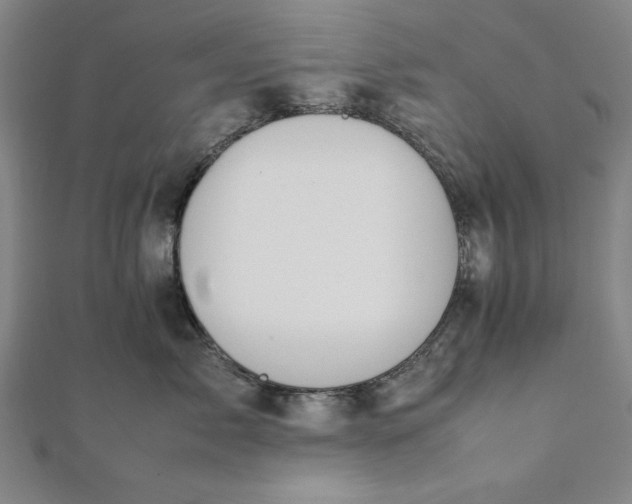 X0000112050717200908181136