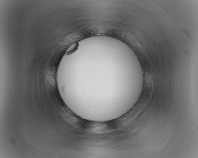 X0000112050719200908181136