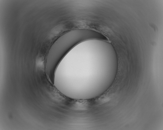 X0000112050720200908181136