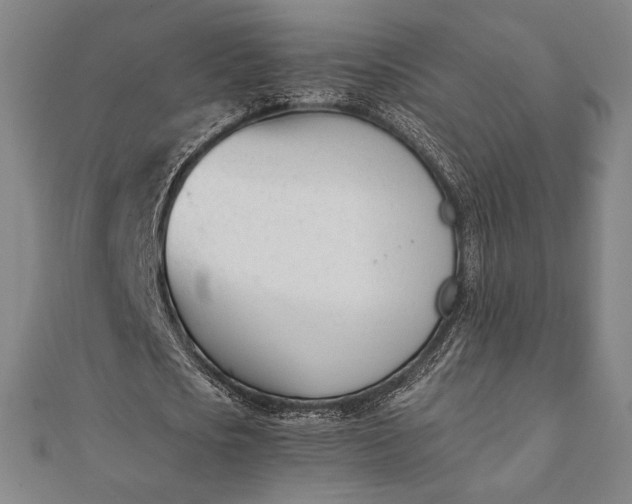 X0000112050721200908181136