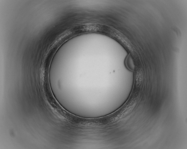 X0000112050722200908181136