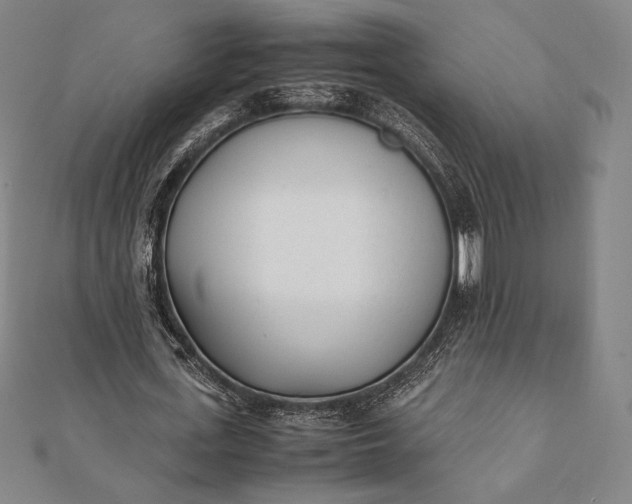 X0000112050723200908181136