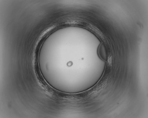 X0000112050724200908181136