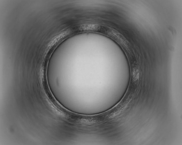 X0000112050725200908181136