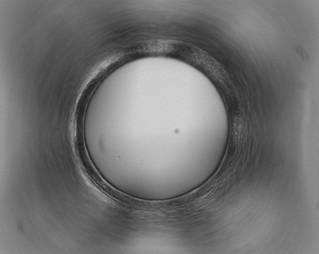 X0000112050726200908181136