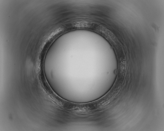 X0000112050727200908181136