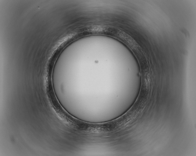 X0000112050728200908181136