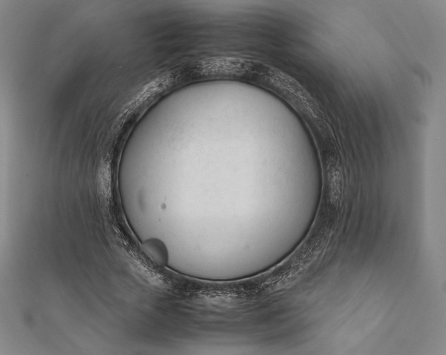 X0000112050729200908181136