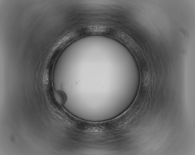 X0000112050731200908181136