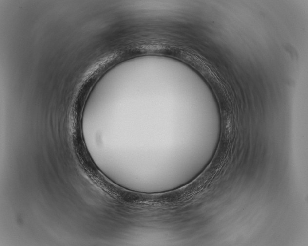 X0000112050732200908181136