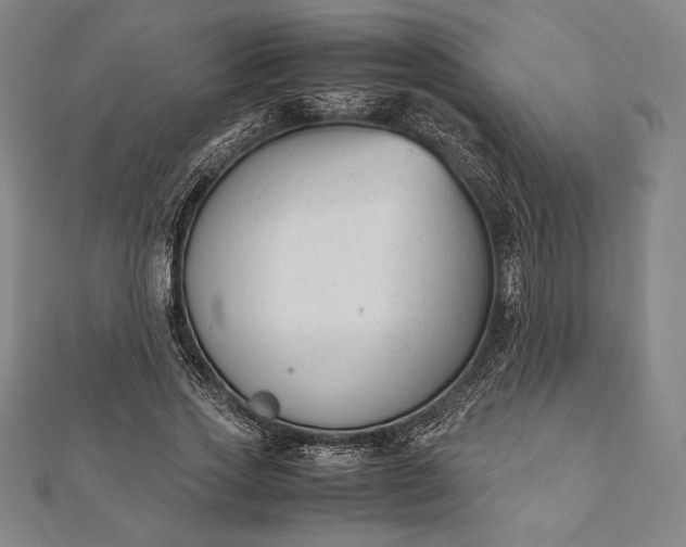 X0000112050733200908181136