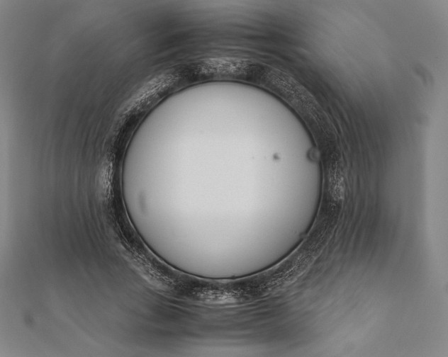 X0000112050735200908181136