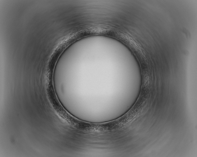 X0000112050736200908181136