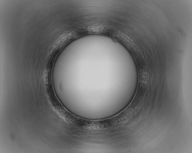 X0000112050738200908181136