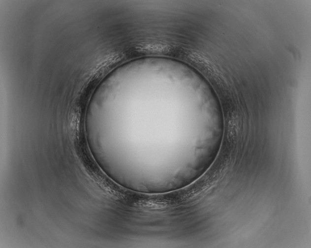 X0000112050739200908181136