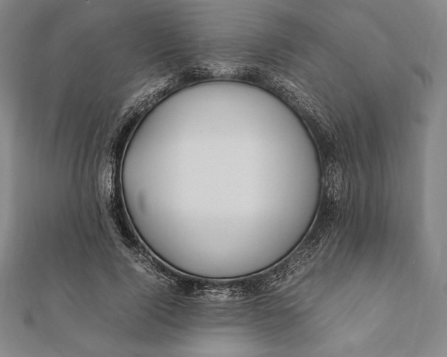 X0000112050740200908181136