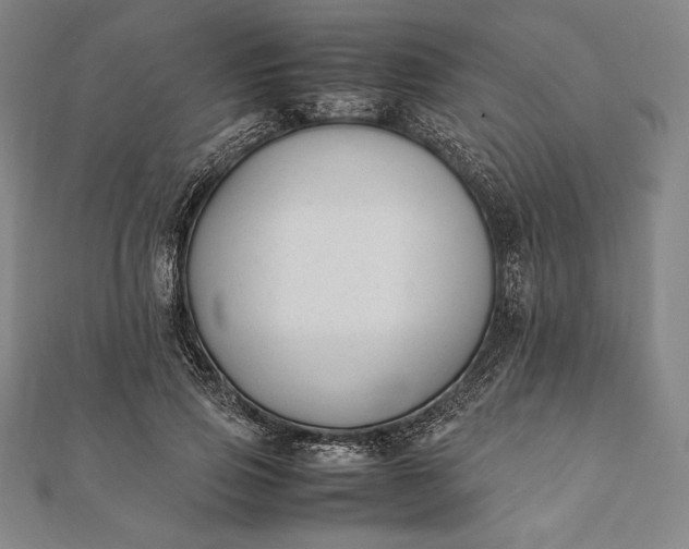 X0000112050741200908181136