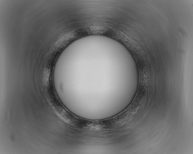 X0000112050742200908181136