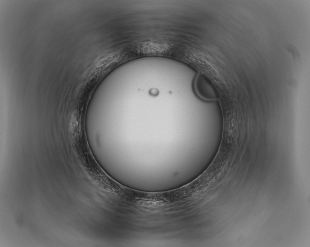 X0000112050743200908181136