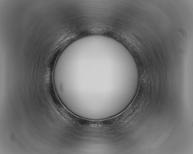 X0000112050744200908181136