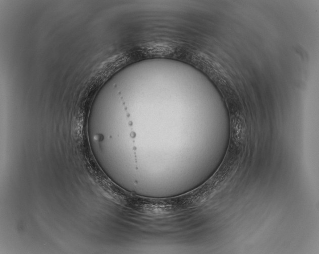 X0000112050745200908181136