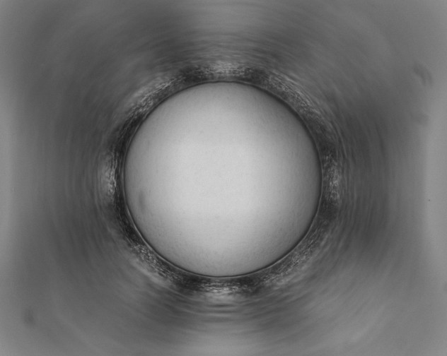 X0000112050746200908181136