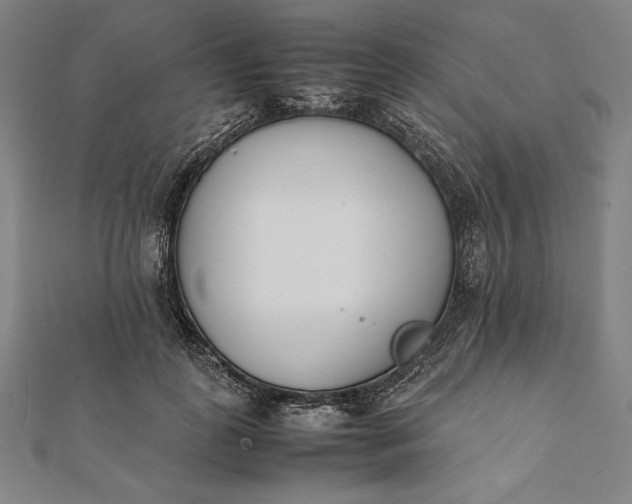 X0000112050747200908181136