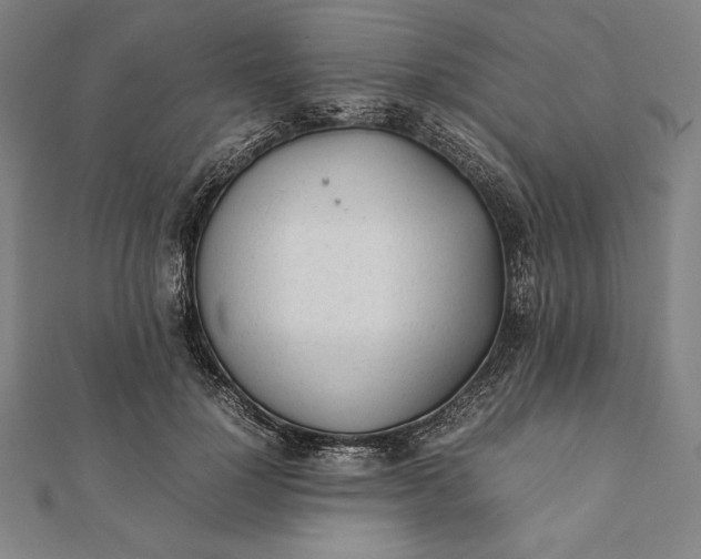 X0000112050748200908181136