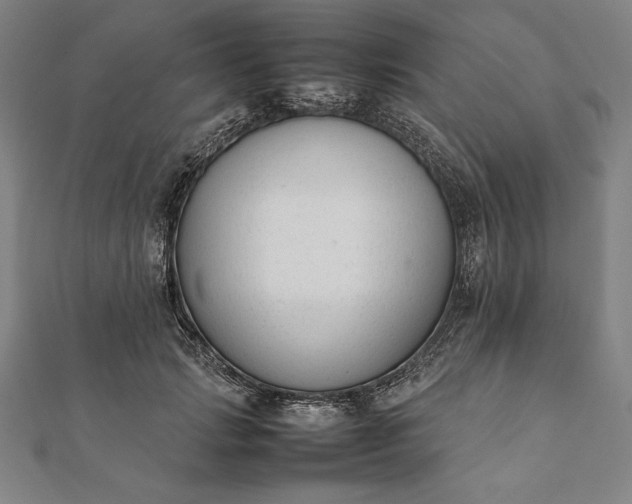 X0000112050749200908181136