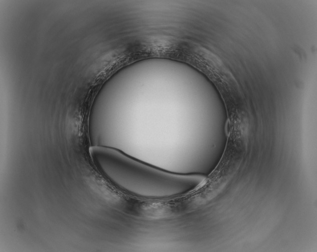 X0000112050750200908181136