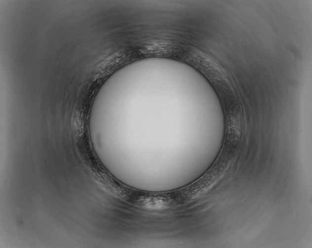 X0000112050751200908181136