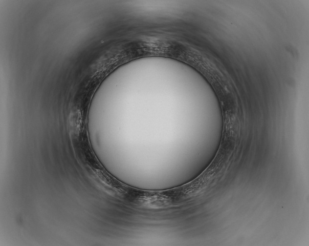 X0000112050752200908181136