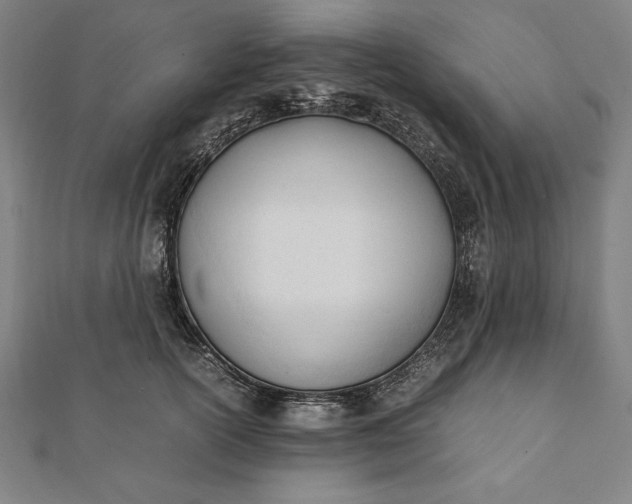 X0000112050754200908181136